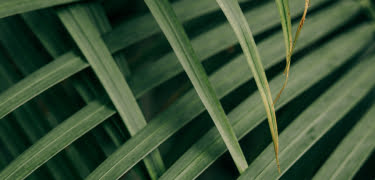 DATEV Schnittstelle Dynamics 365 BC