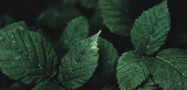 Dynamics 365 Business Central ☑️ | BSH AG