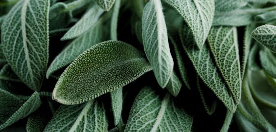 Business Central Schulungen