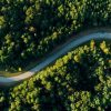 Straße durch Wald, Luftbild